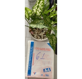 Bìa lỗ  6 lạng VC