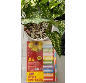 Bìa phân trang giấy 10 màu Pgrand