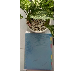 Bìa phân trang nhựa 10 màu VC