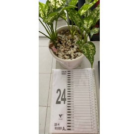 Bìa phân trang nhựa 24 chữ cái VC