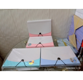 Cặp tài liệu A4 13 ngăn bản ST Deli CF555