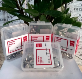 Đinh ghim mũ inox Deli No.0022