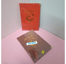 Sổ da đại dày 320 trang